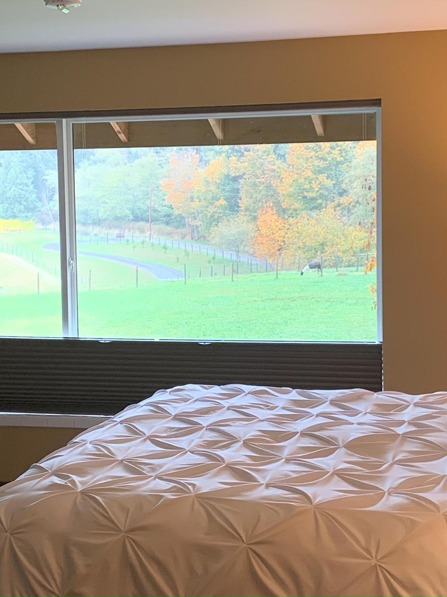 Comforts Of Whidbey 랭글리 외부 사진